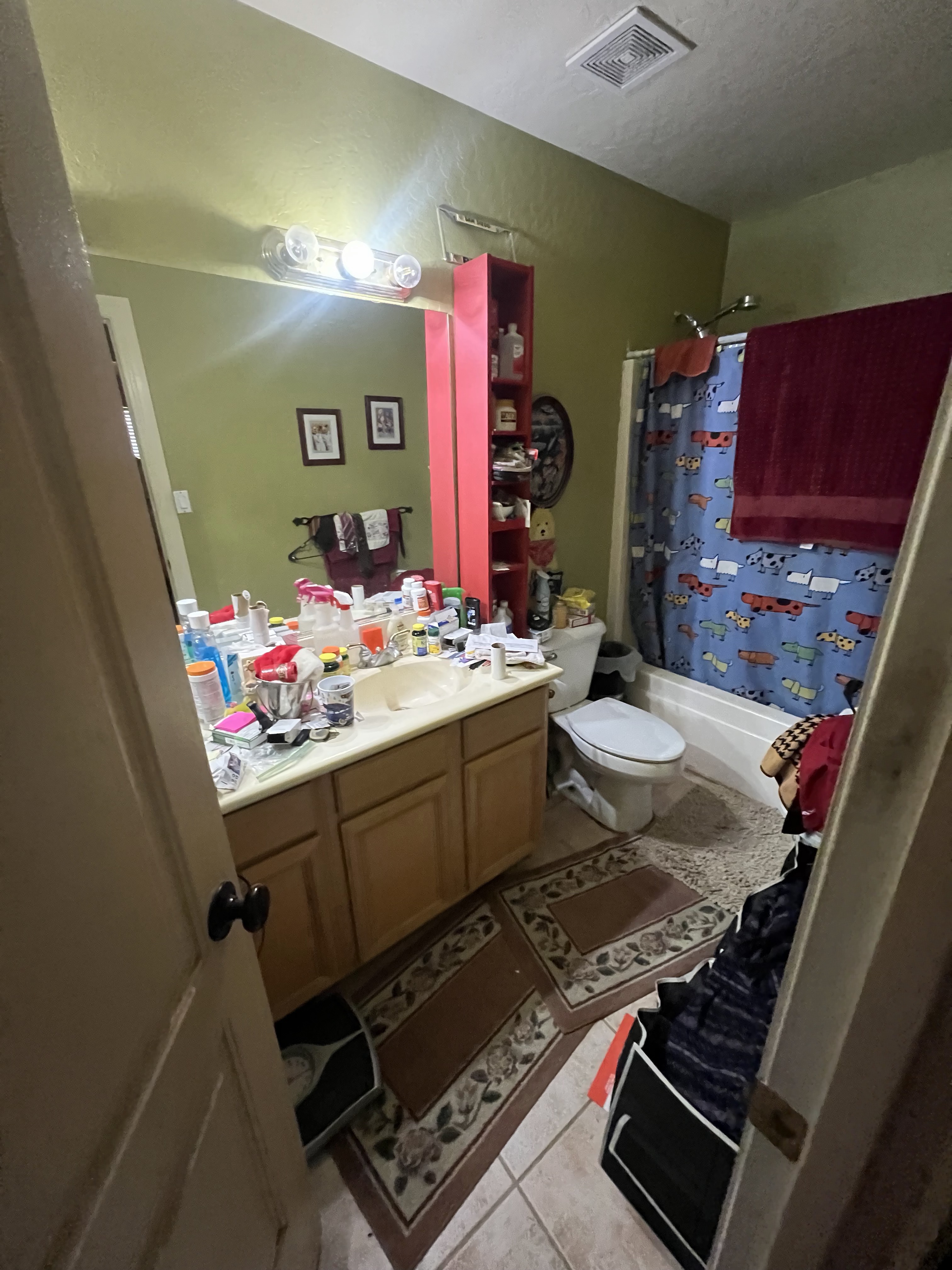 Bathroom before renovation